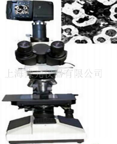 金相显微镜XYU-35D