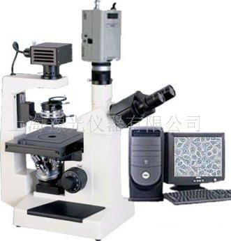 生物显微镜37XBC