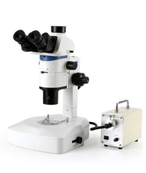 体视显微镜2890