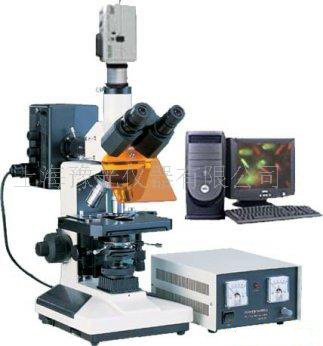 荧光显微镜TYU-50C