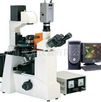 荧光显微镜TYU-60C