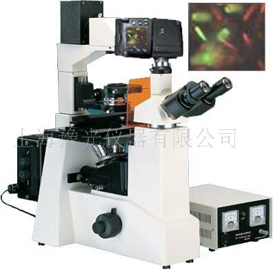 荧光显微镜TYU-60D