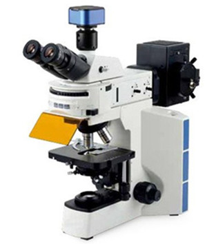 荧光显微镜yg3580